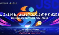 爱体育app-法甲外援赛季总结及关键比赛数据的深度分析